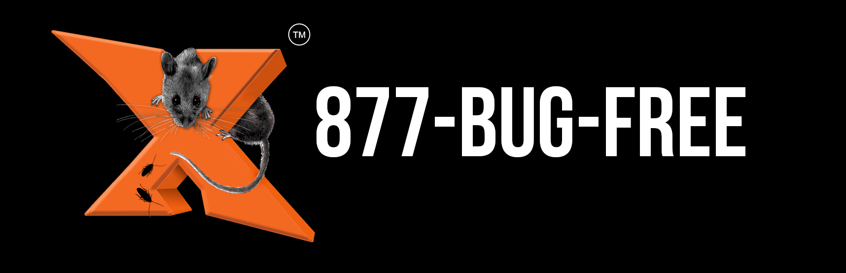877 BUG FREE